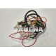 CABLEADO ECOGAS 60/100 PARA ADAPTAR CGAS000342